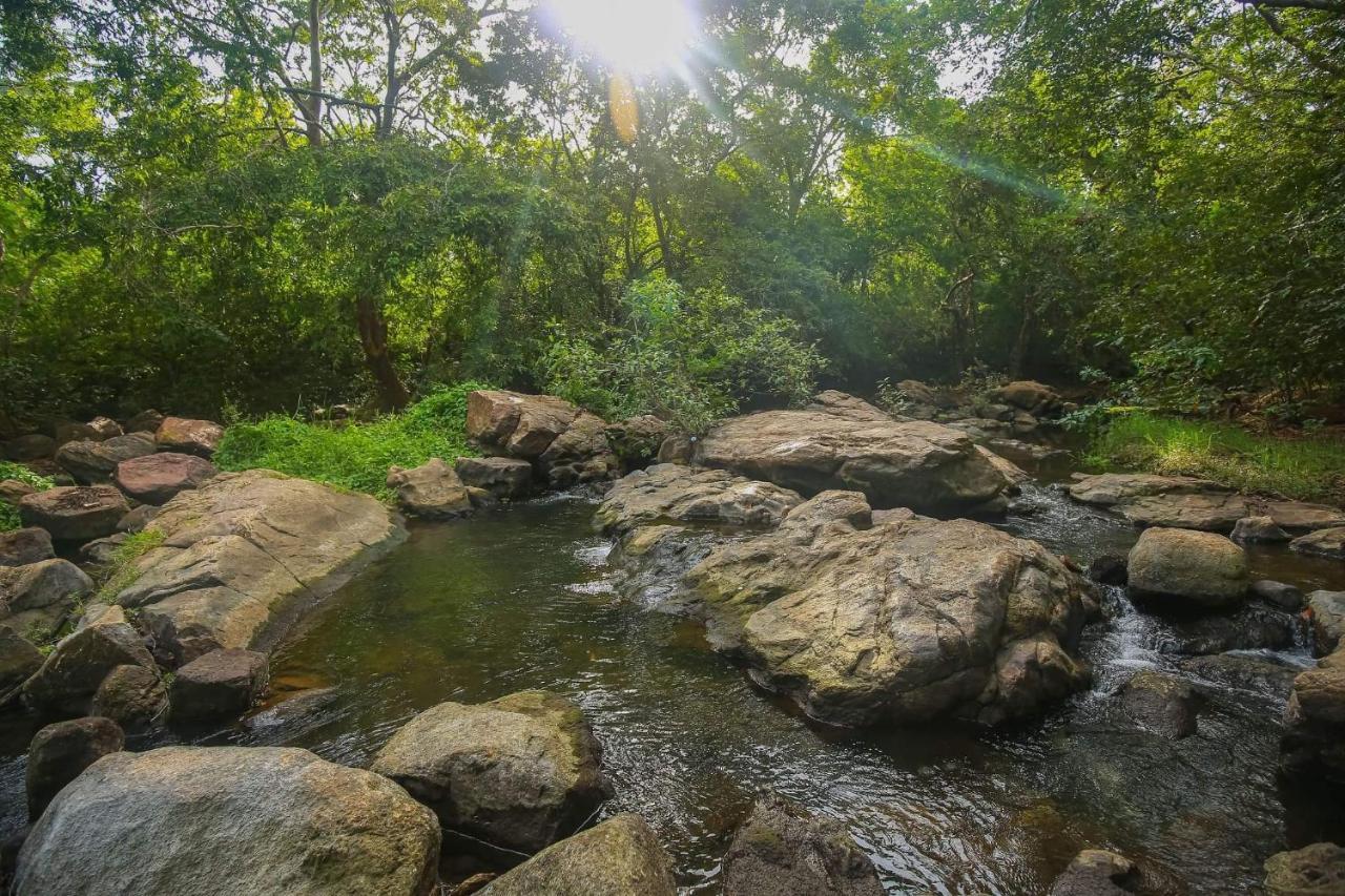 Yala Safari River View Hotel Tissamaharama Exteriör bild