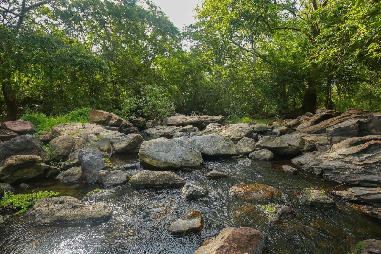 Yala Safari River View Hotel Tissamaharama Exteriör bild