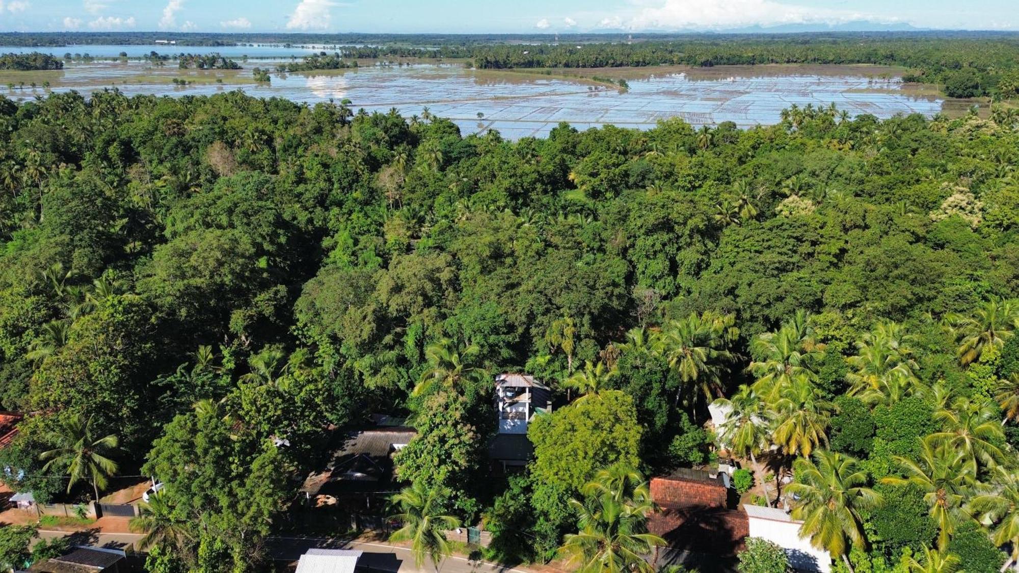 Yala Safari River View Hotel Tissamaharama Exteriör bild