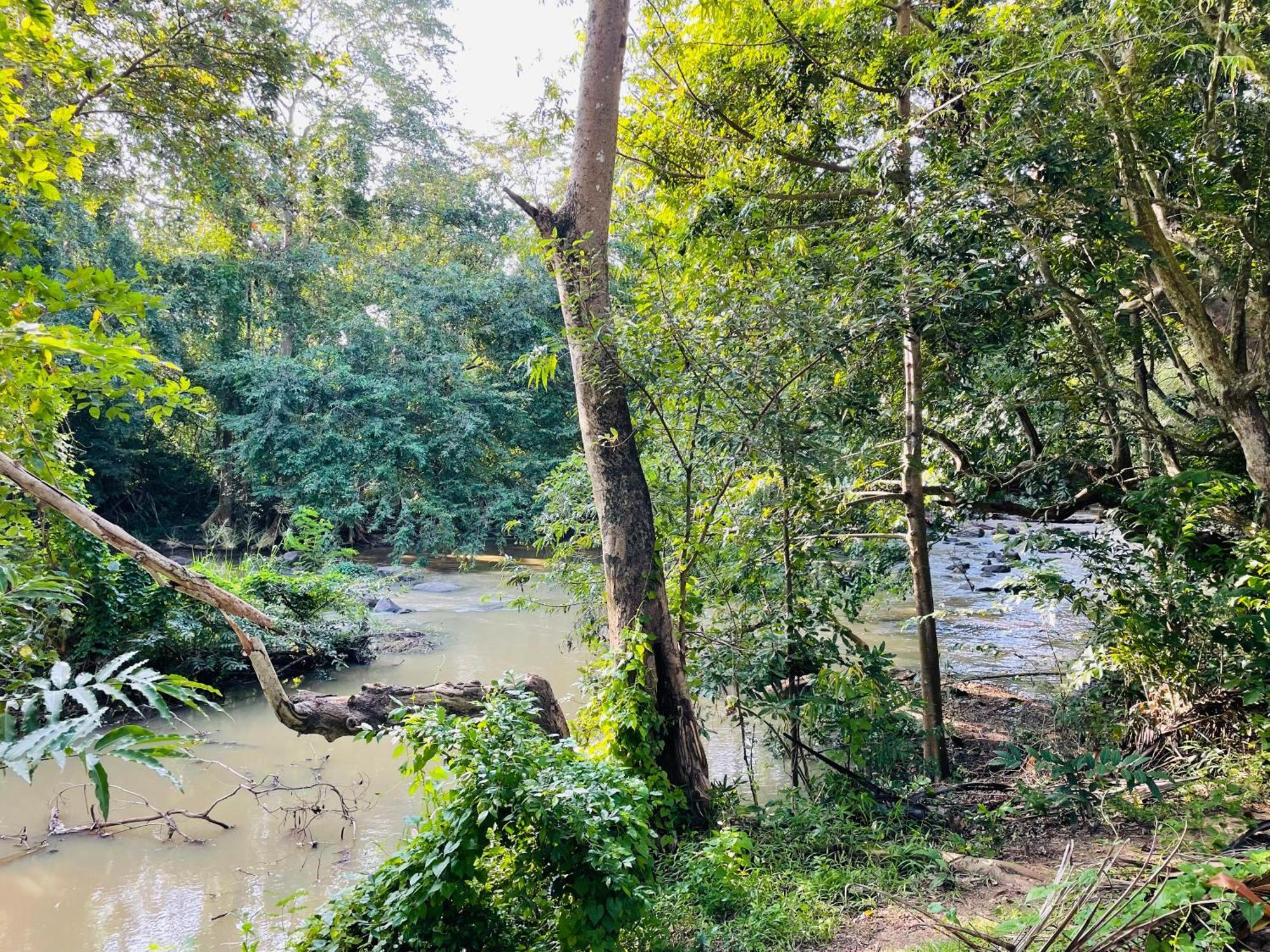 Yala Safari River View Hotel Tissamaharama Exteriör bild